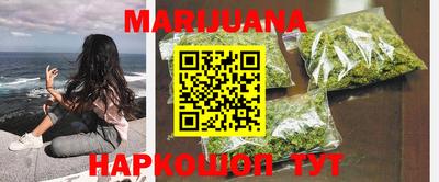 сатива Краснодар