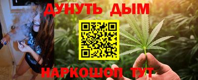 сатива Краснодар