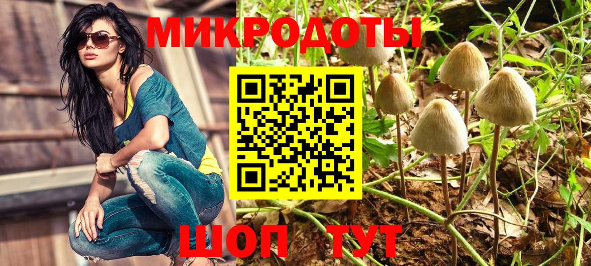 Галлюциногенные грибы мицелий Красногорск